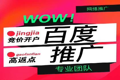 百度竞价托管运营数据驱动决策案例分析